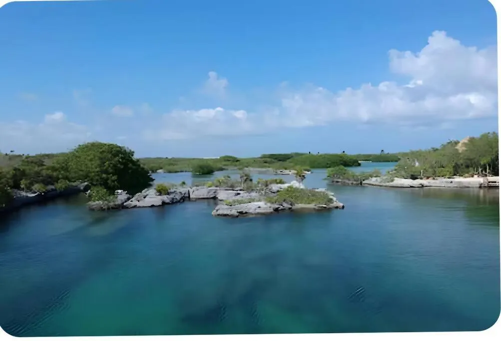 24,7 Access To Amazing Cenote Poolking Size Beds Apartment Akumal Mexico