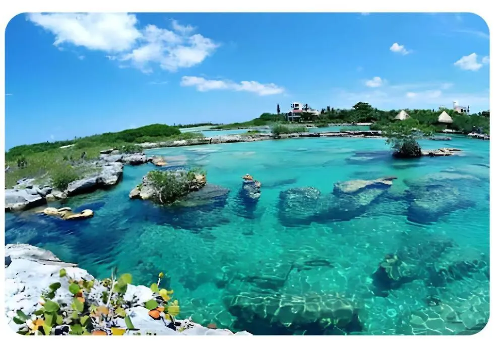 24,7 Access To Amazing Cenote Poolking Size Beds Apartment Akumal 0*,  Mexico