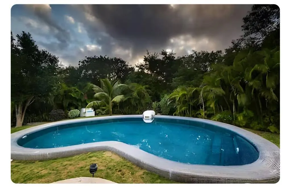 24,7 Access To Amazing Cenote Poolking Size Beds contacts