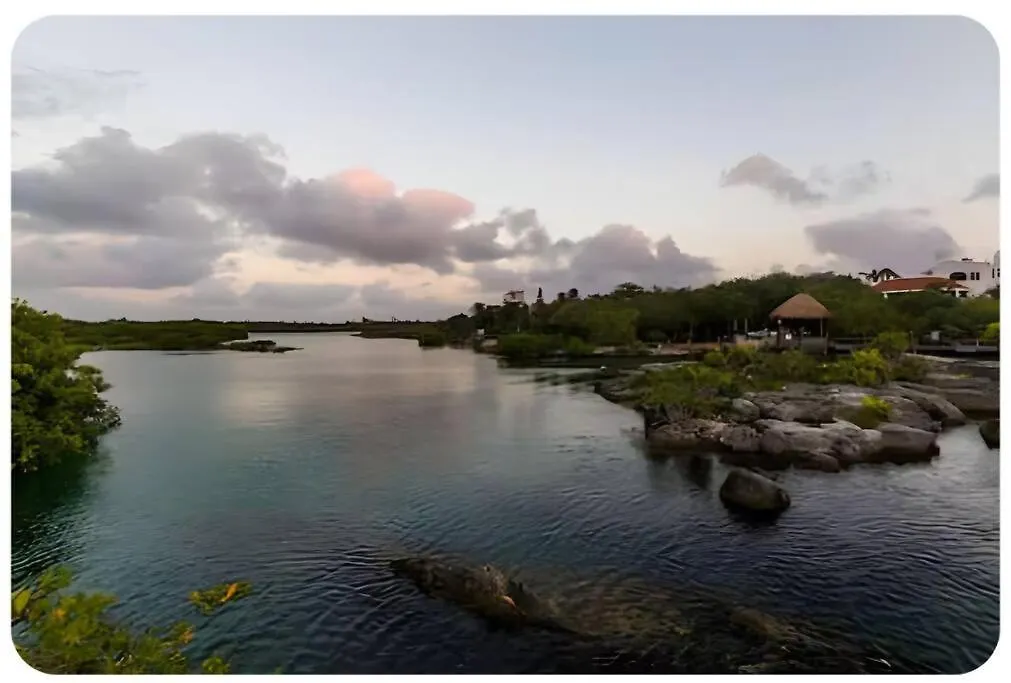 公寓 艾库玛尔24,7 Access To Amazing Cenote Poolking Size Beds公寓