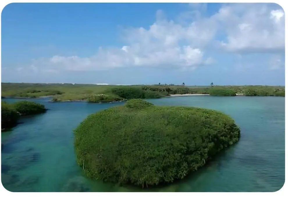 艾库玛尔24,7 Access To Amazing Cenote Poolking Size Beds公寓 公寓 艾库玛尔